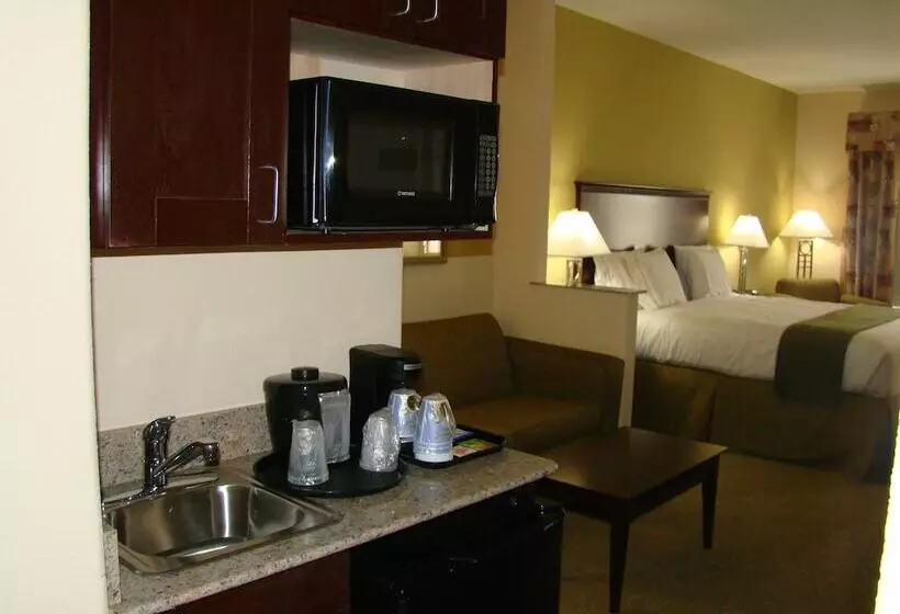 Holiday Inn Express Hotel & Suites Brownfield By Ihg