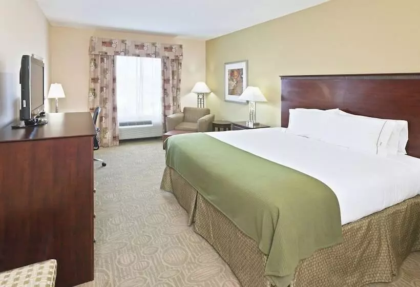 Holiday Inn Express Hotel & Suites Brownfield By Ihg