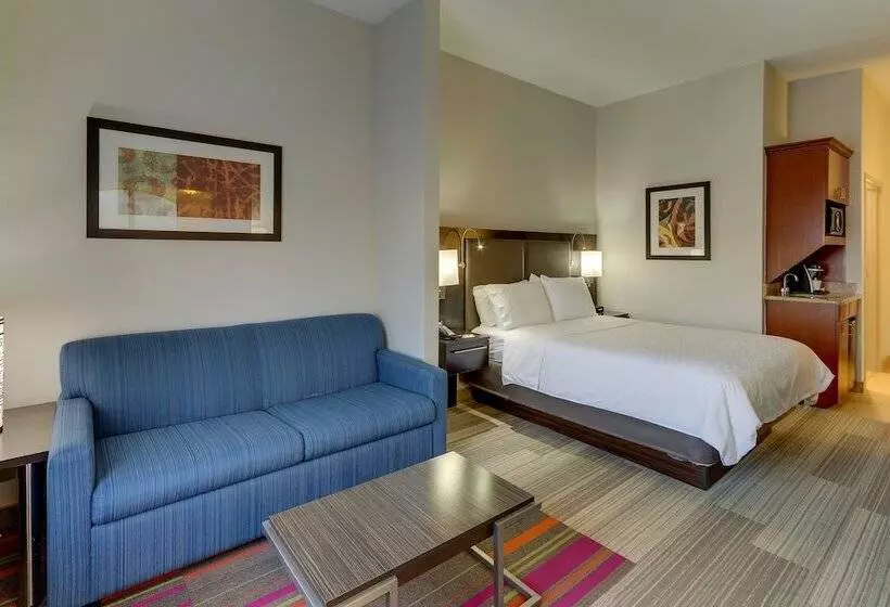 Holiday Inn Express Hotel & Suites Dayton Centerville, An Ihg