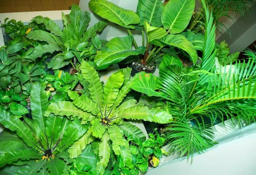 هتل Riverview Cambodia Boutique