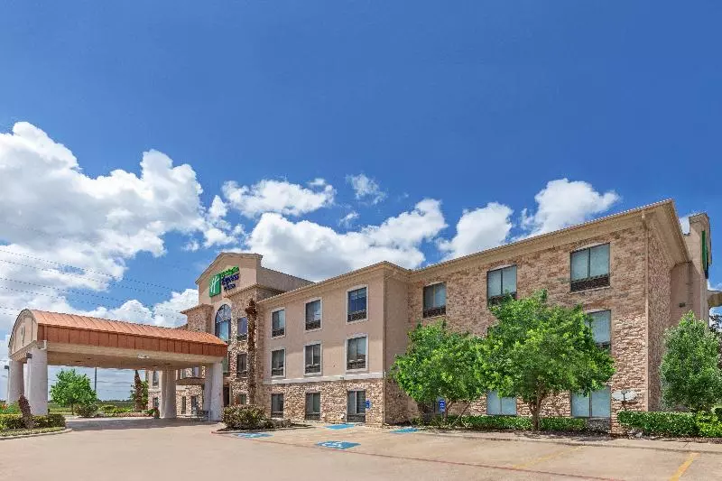Holiday Inn Express Hotel & Suites Austin Ne Hutto, An Ihg