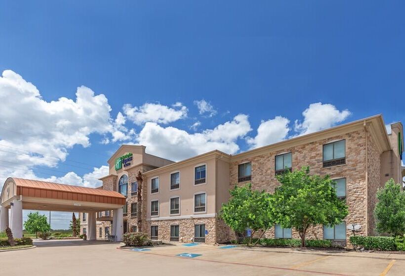Holiday Inn Express Hotel & Suites Austin Ne Hutto, An Ihg