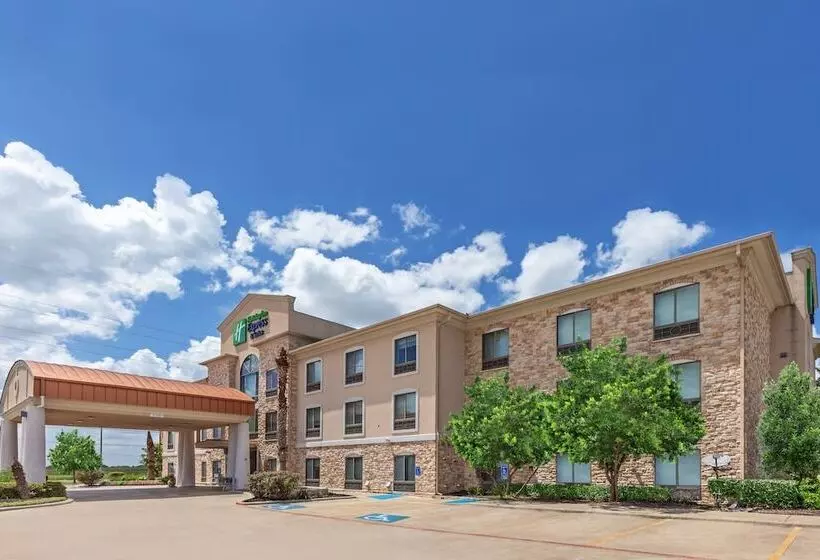 Holiday Inn Express Hotel & Suites Austin Ne Hutto, An Ihg