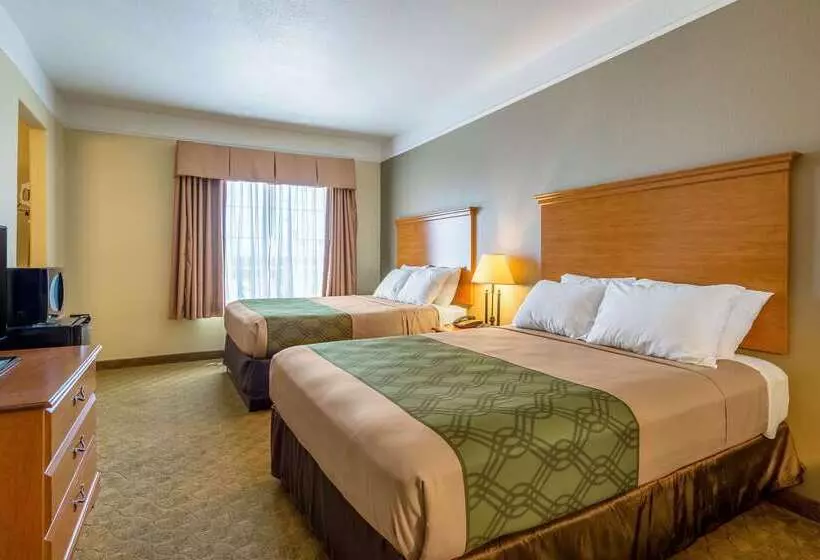 호텔 Americinn By Wyndham New Braunfels