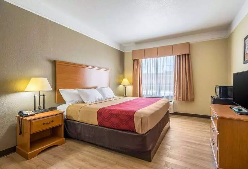 호텔 Americinn By Wyndham New Braunfels