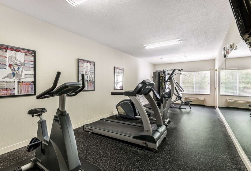 ホテル Best Western Plus New England Inn & Suites