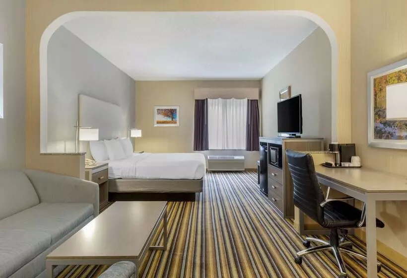 酒店 Best Western Plus New England Inn & Suites