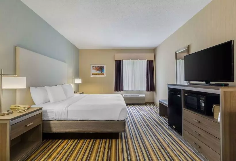 酒店 Best Western Plus New England Inn & Suites