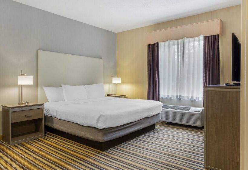 ホテル Best Western Plus New England Inn & Suites