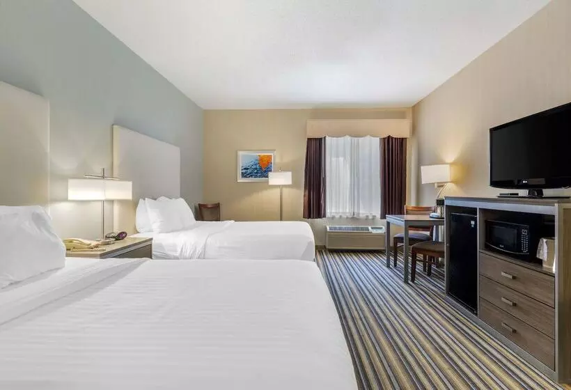 酒店 Best Western Plus New England Inn & Suites