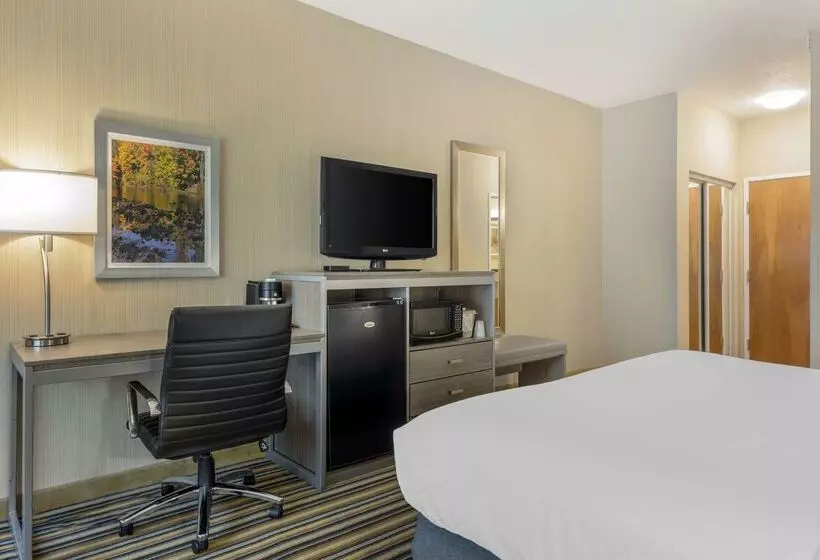 酒店 Best Western Plus New England Inn & Suites