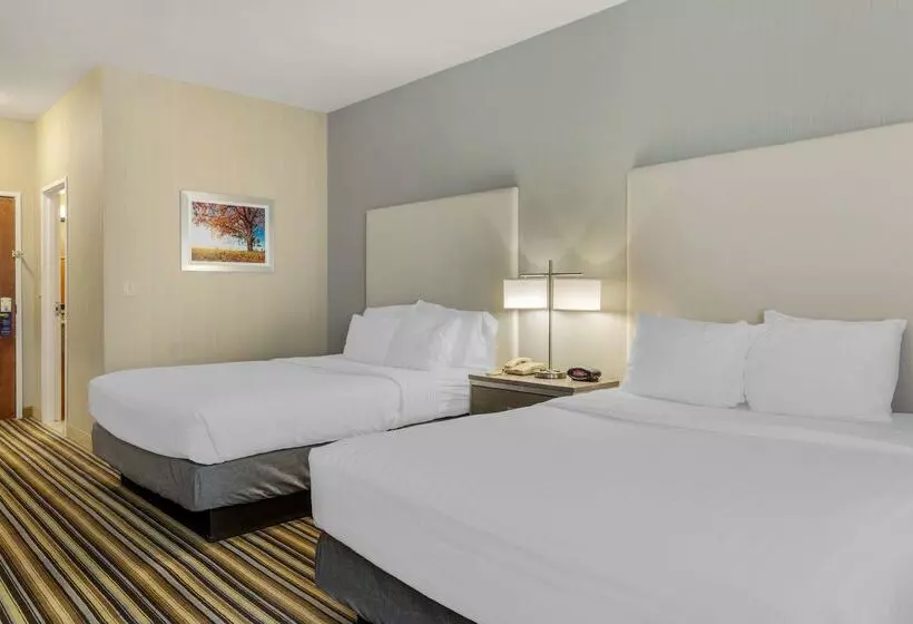 酒店 Best Western Plus New England Inn & Suites