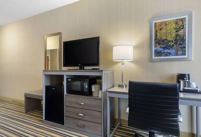 酒店 Best Western Plus New England Inn & Suites