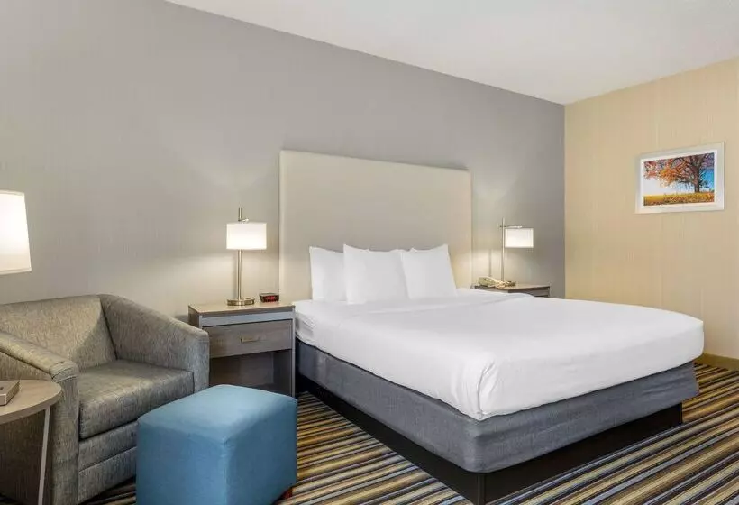 酒店 Best Western Plus New England Inn & Suites