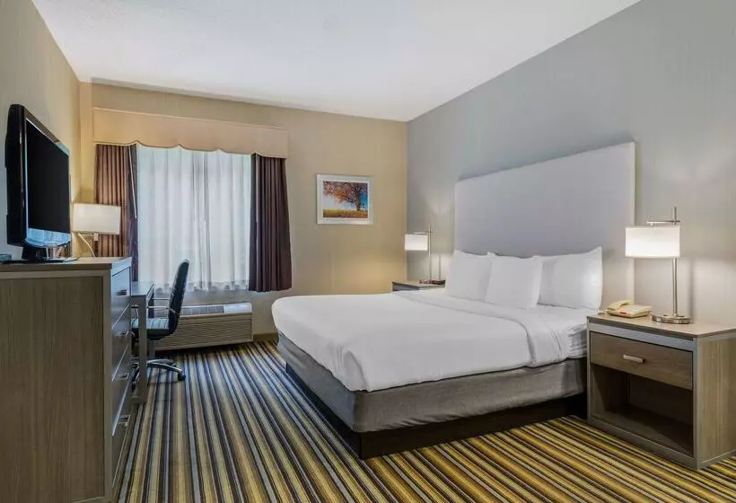 酒店 Best Western Plus New England Inn & Suites