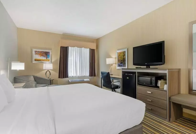 酒店 Best Western Plus New England Inn & Suites