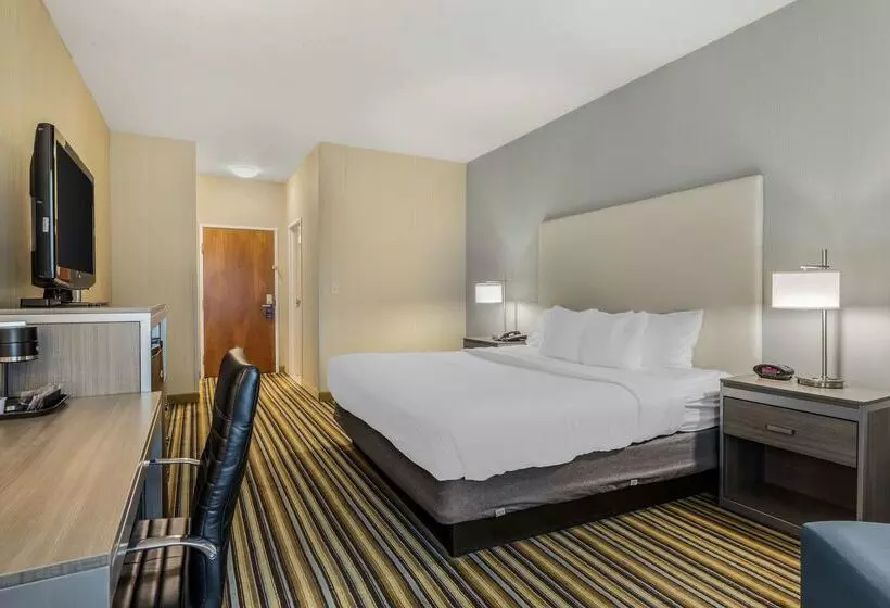 酒店 Best Western Plus New England Inn & Suites