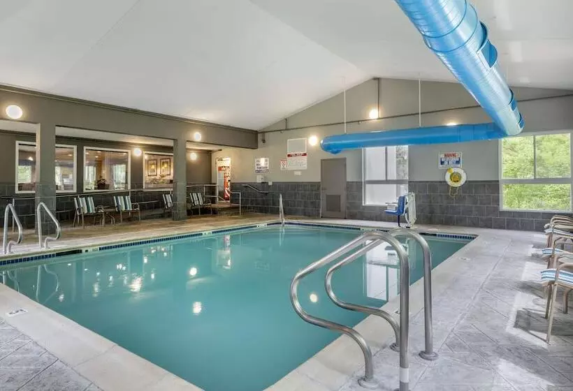 酒店 Best Western Plus New England Inn & Suites