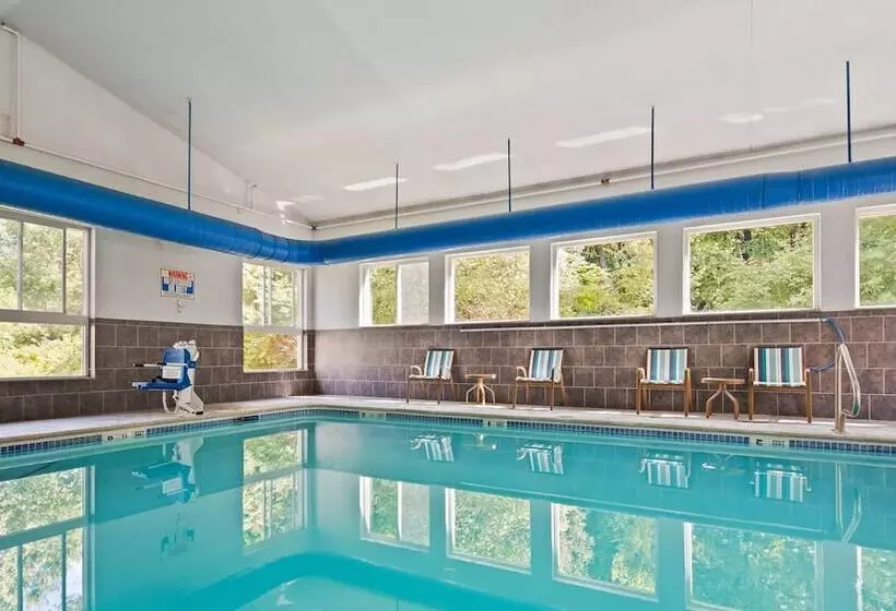 酒店 Best Western Plus New England Inn & Suites