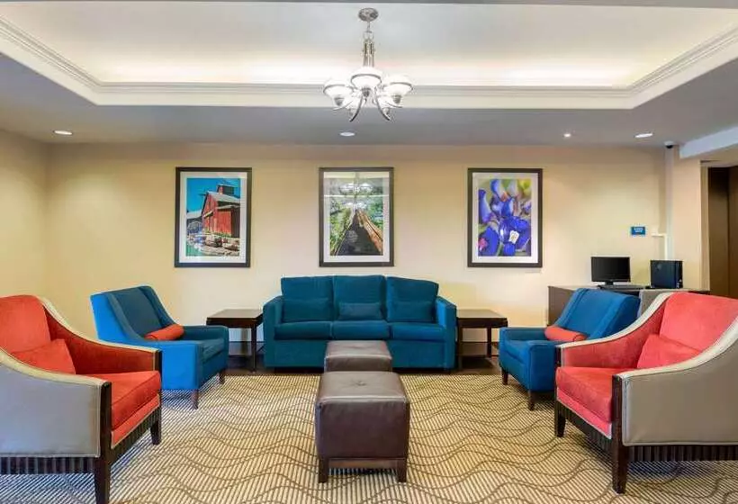 Szálloda Comfort Inn & Suites, Odessa I 20