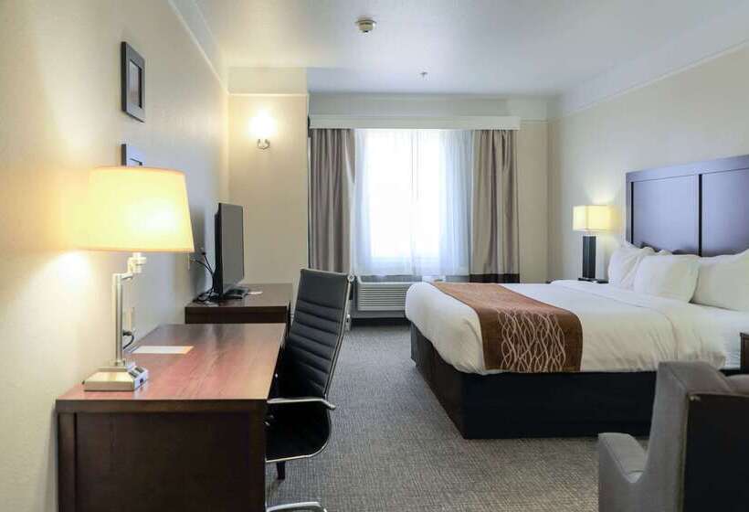 فندق Comfort Inn & Suites, Odessa I 20