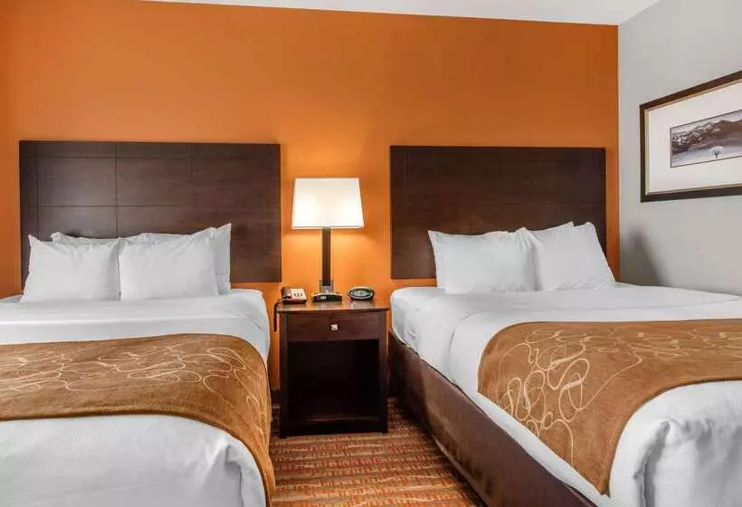 호텔 Comfort Suites Jackson I 40