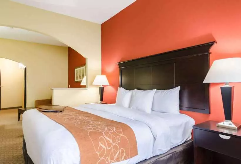 هتل Comfort Suites Salina South