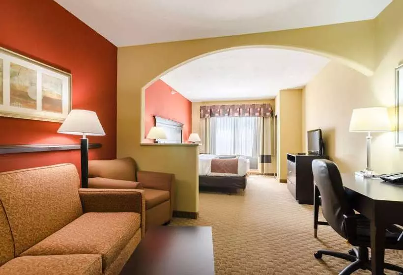 هتل Comfort Suites Salina South