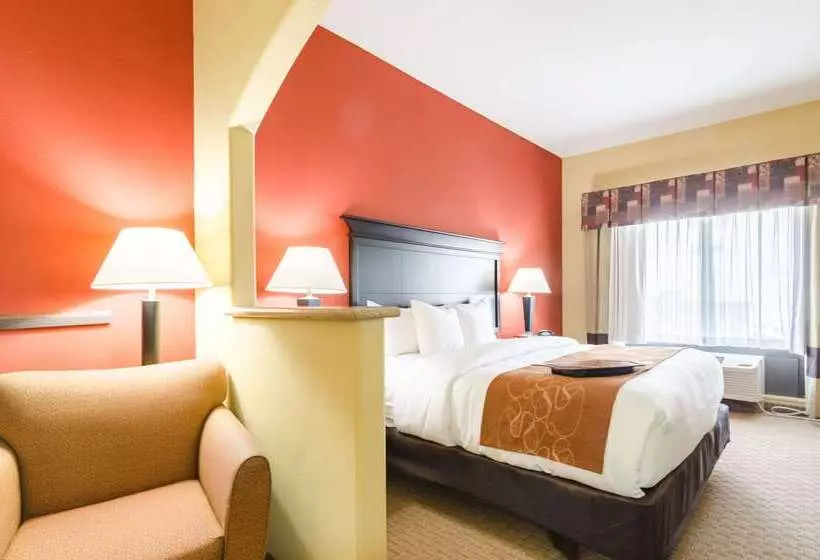 هتل Comfort Suites Salina South