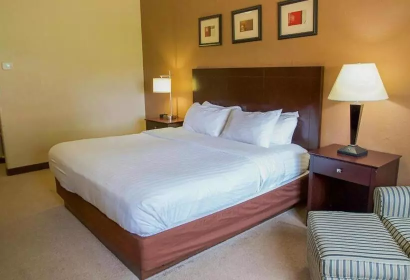 Hotel First Choice Inn At The Swell