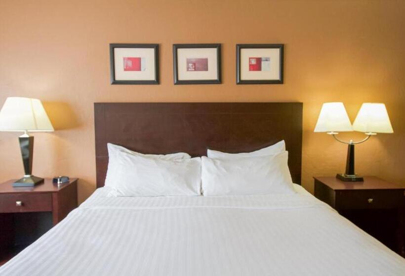 Отель First Choice Inn At The Swell