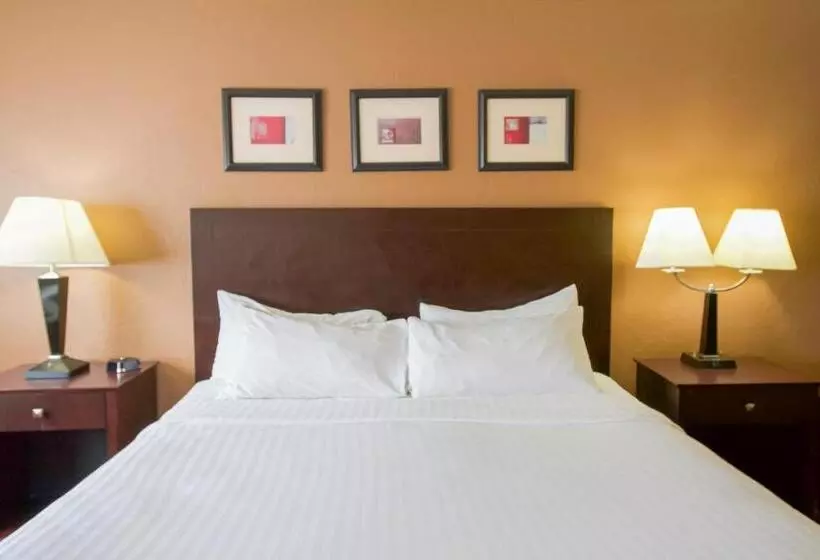 Hotel First Choice Inn At The Swell