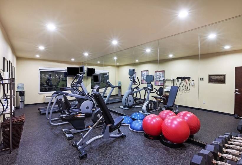 호텔 Holiday Inn & Suites Mckinney   N Allen, An Ihg