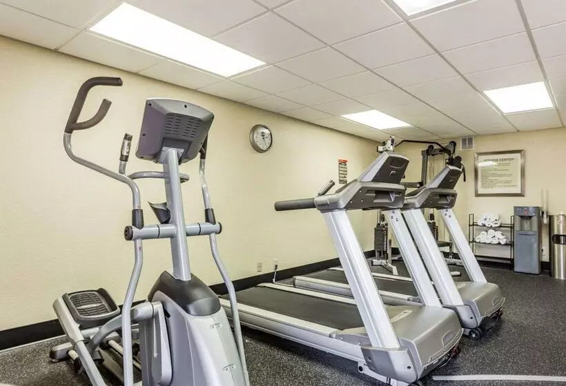 酒店 Quality Inn Mt Pleasant   Charleston