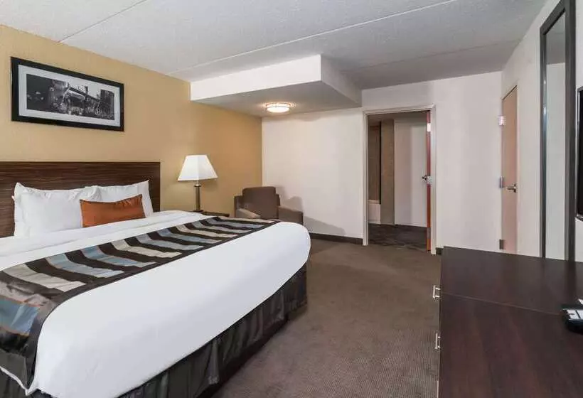 هتل Wingate By Wyndham Bowling Green