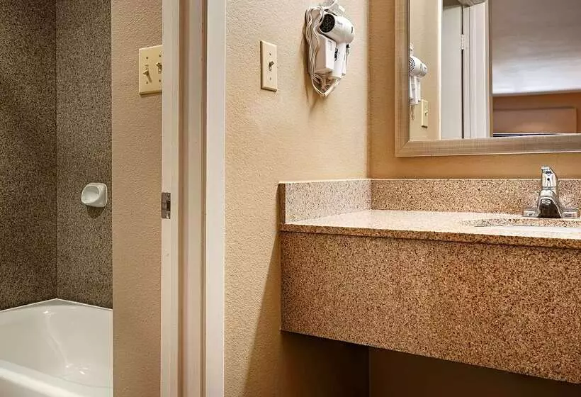 酒店 Best Western Cedar Inn