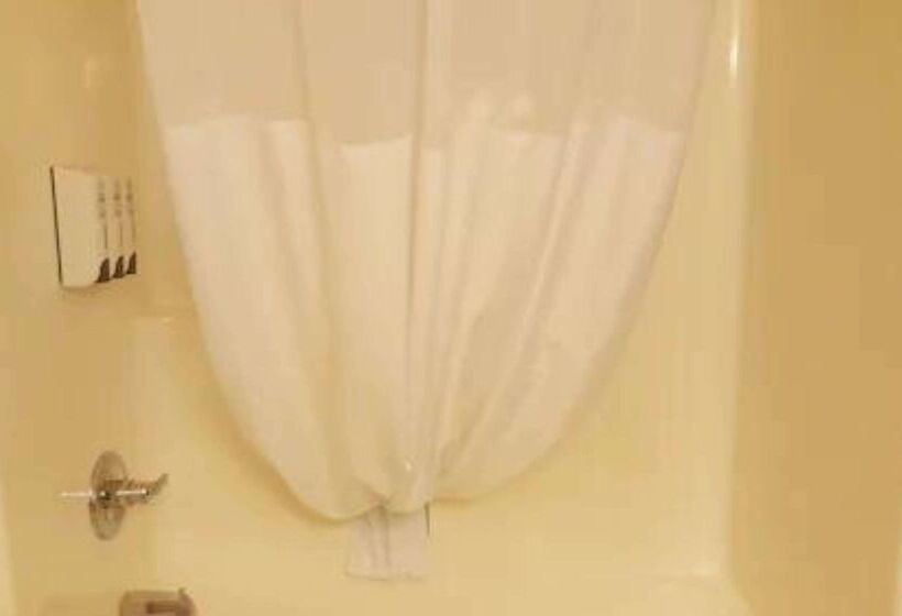 酒店 Best Western Central City