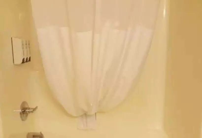 호텔 Best Western Central City