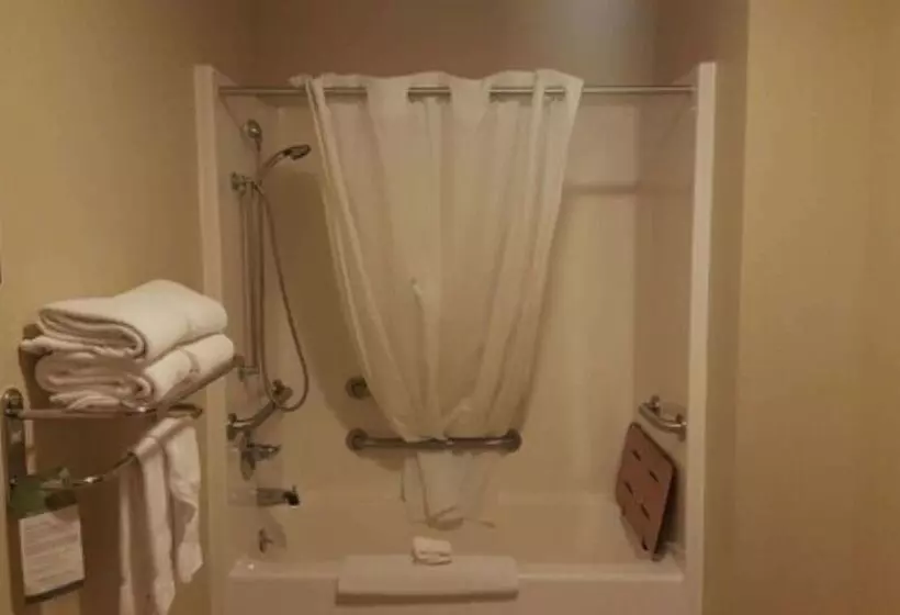 호텔 Best Western Central City