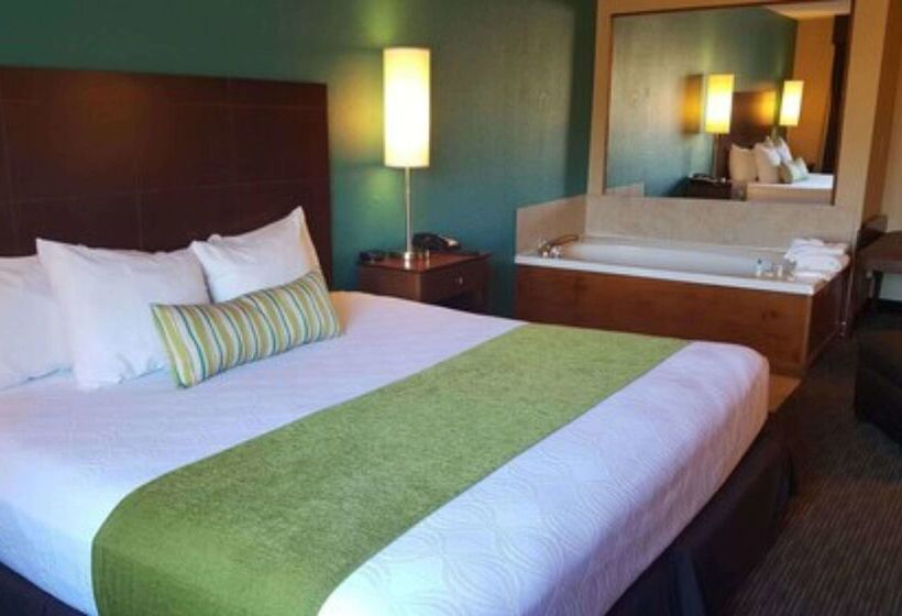 酒店 Best Western Central City