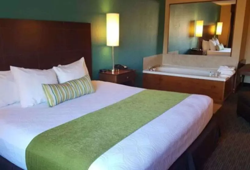 호텔 Best Western Central City