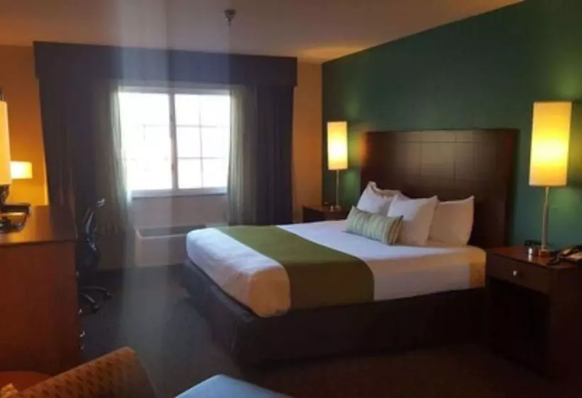 호텔 Best Western Central City