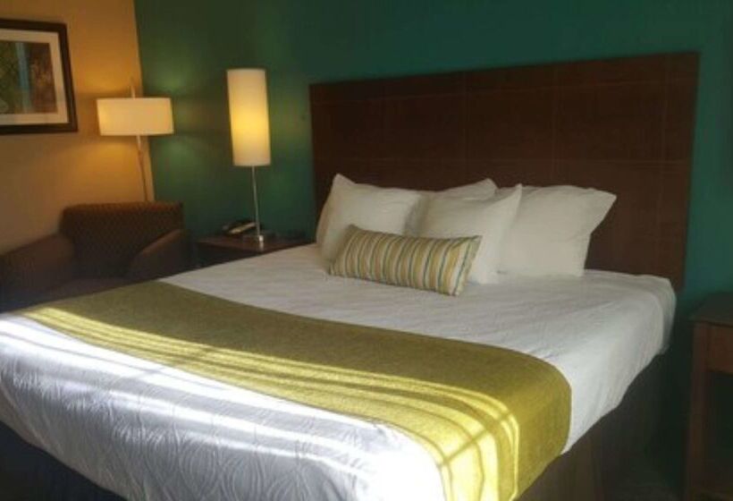 酒店 Best Western Central City