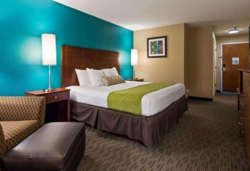 酒店 Best Western Central City