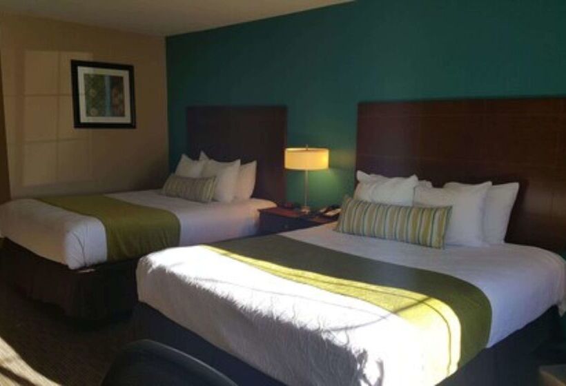 酒店 Best Western Central City