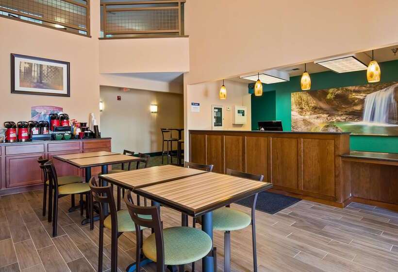 酒店 Best Western Central City