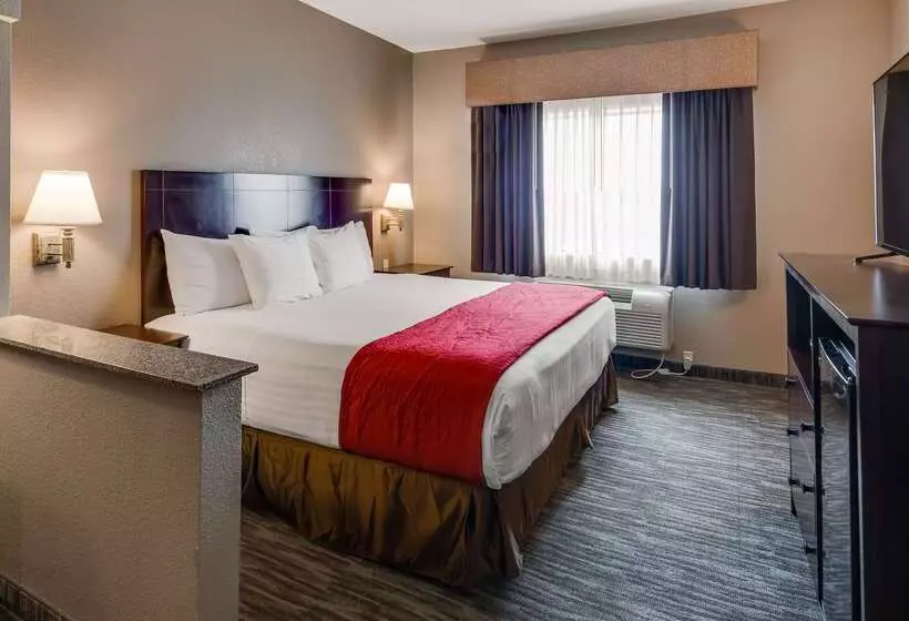 Otel Best Western Dayton Inn & Suites