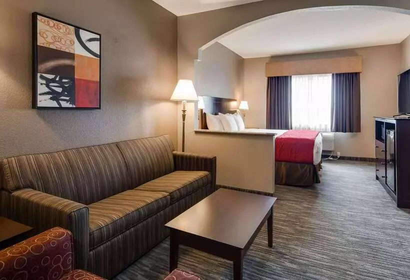 Otel Best Western Dayton Inn & Suites