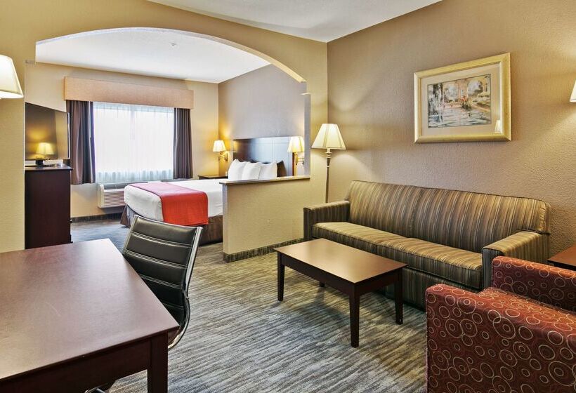 酒店 Best Western Dayton Inn & Suites