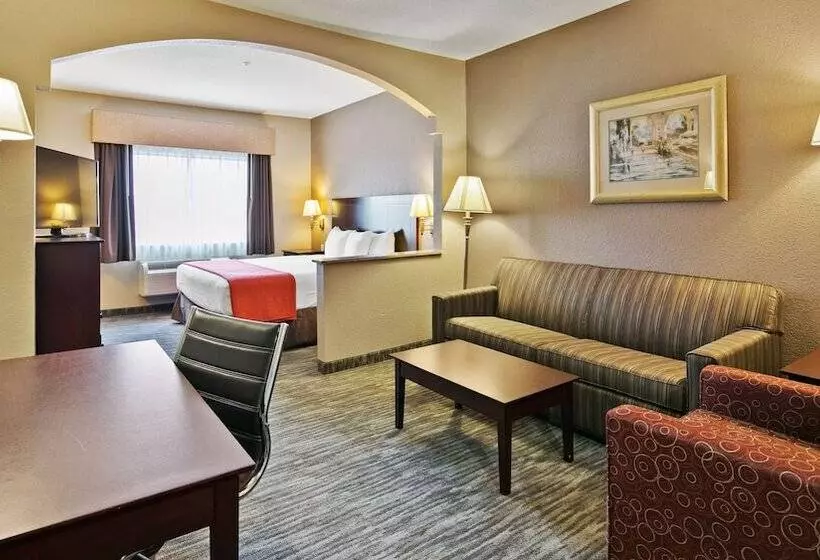 Otel Best Western Dayton Inn & Suites